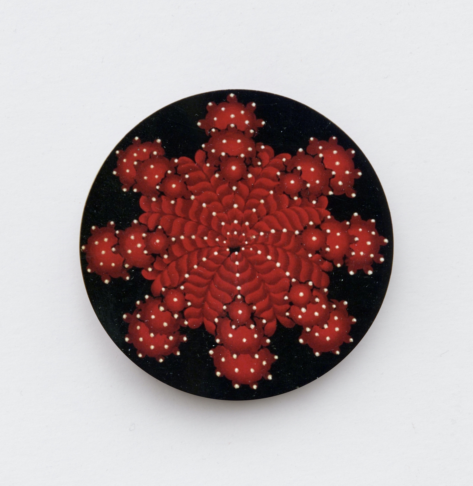 Martin Wong
Gymnocalycium (Star Cactus), 1997-98
acrylic on canvas
30&quot; in diameter