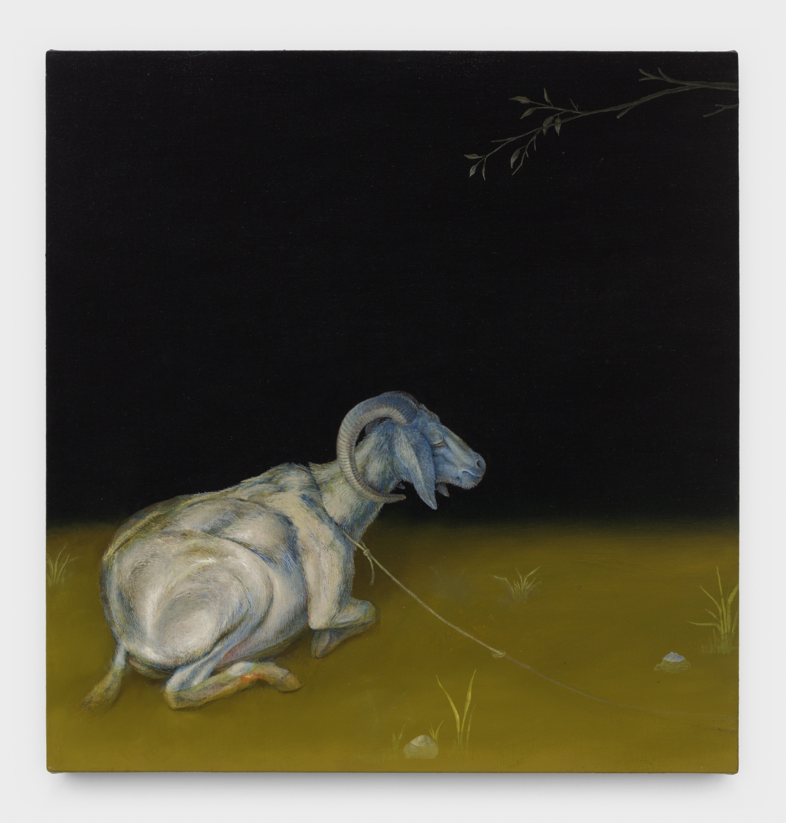 Tom Knechtel
A goat for Bob Baruch, 2018
oil on linen
23 1/2 x 22 1/2 ins.
59.7 x 57.1 cm