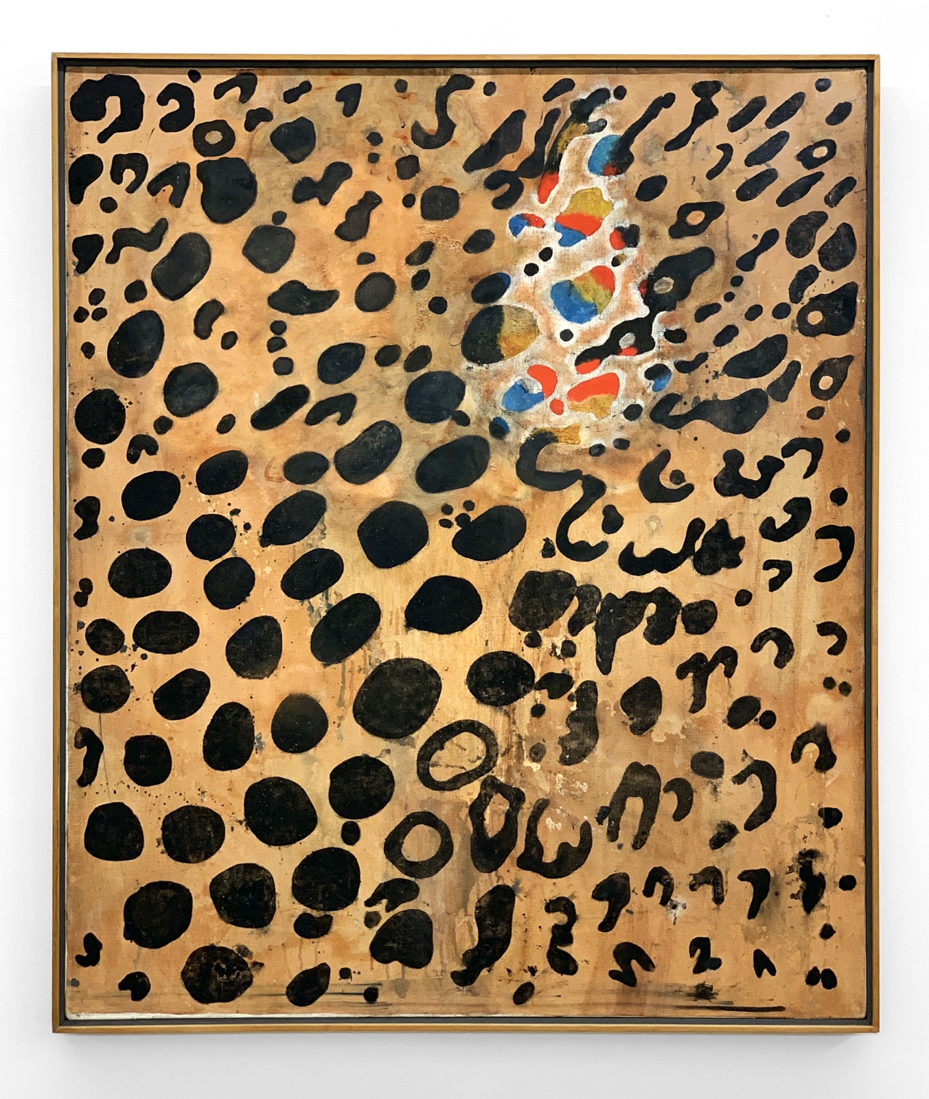 Prunella Clough
Natural History, 1988
oil on canvas
44 1/2 x 37 1/8 ins.
113 x 94 cm