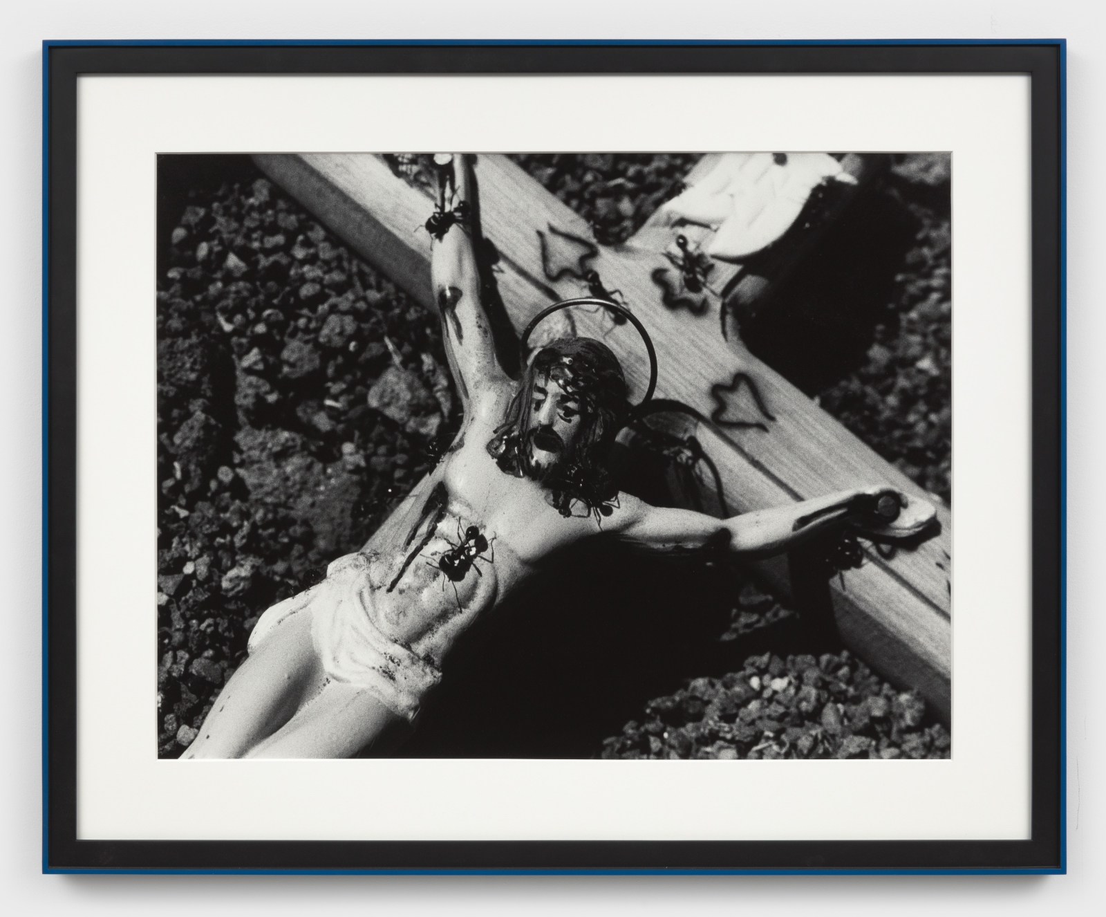David Wojnarowicz
Untitled (Spirituality), from the Ant Series, 1988-89
gelatin silver print
Sheet: 29 1/8 x 39 1/4 ins. (73.8 x 99.7 cm)
Framed: 40 1/4 x 48 3/4 ins. (102.24 x 123.83 cm)