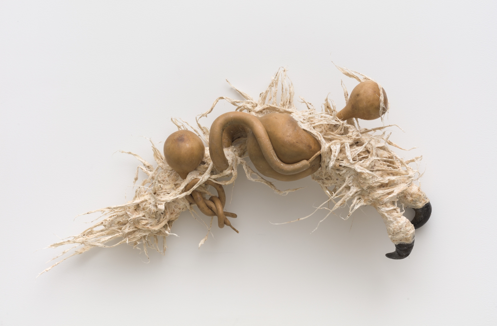 Guadalupe Maravilla
Ancestral Stomach 5, 2021
dried gourd with mixed media
19 1/2 x 37 x 8 1/2 ins.
49.5 x 94 x 21.6 cm