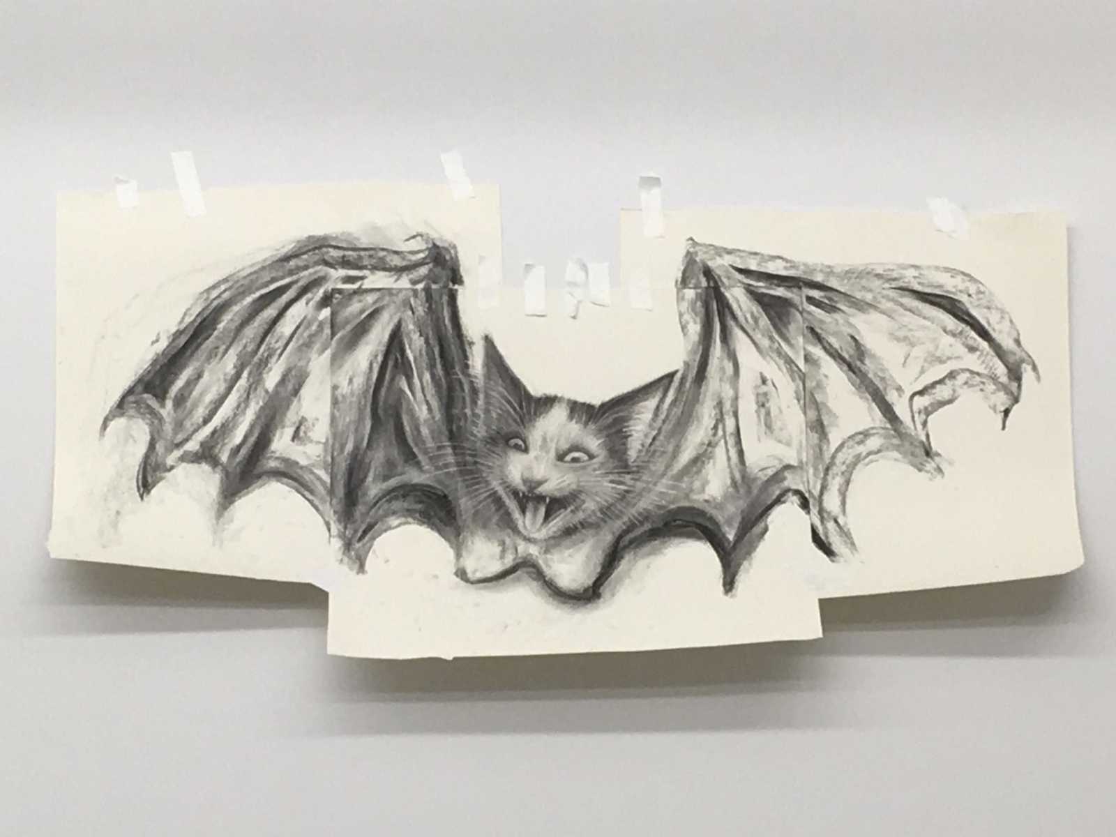 Aurel Schmidt
Cat Bat, 2017
charcoal on paper
23 3/4 x 43 in.
60.3 x 109.2 cm