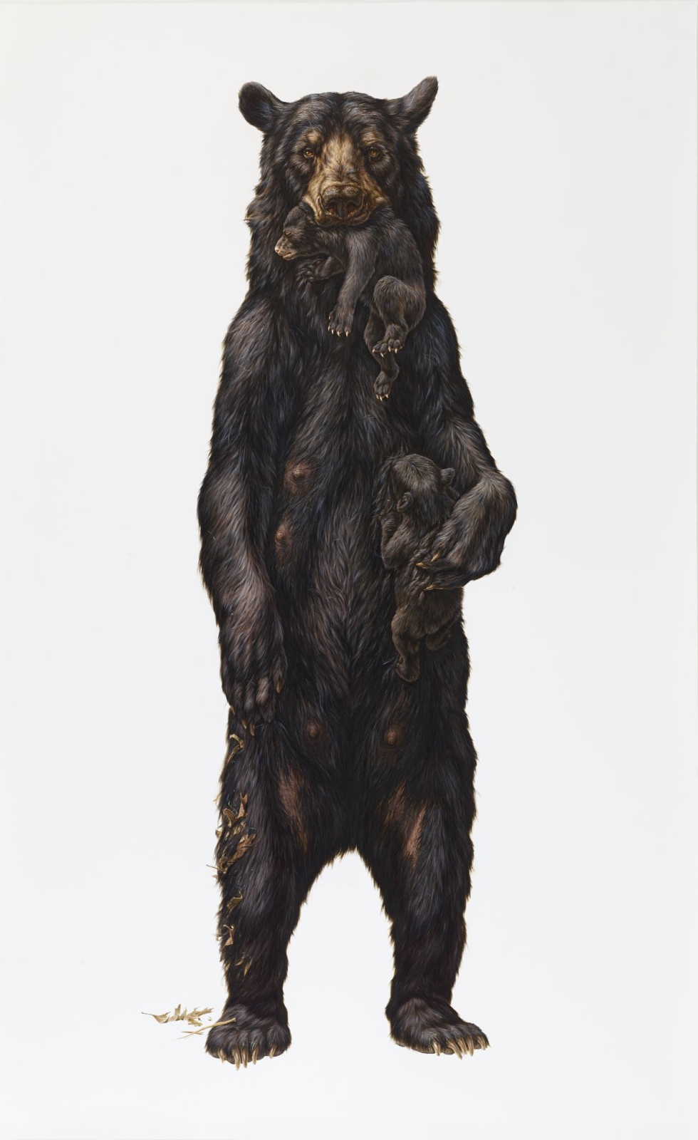 George Boorujy
Appalachian, 2014
ink on paper
84 1/4 x 53 3/4 in.
214 x 136.53 cm