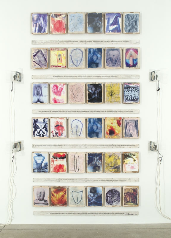 Carolee Schneemann
Vulva&amp;#39;s Morphia, 1995
signed and dated on front
mounted 36 panel photo grid with hand painting, text inserts on wood, and fans
243.84 x 152.4 cm
96 x 60 in.