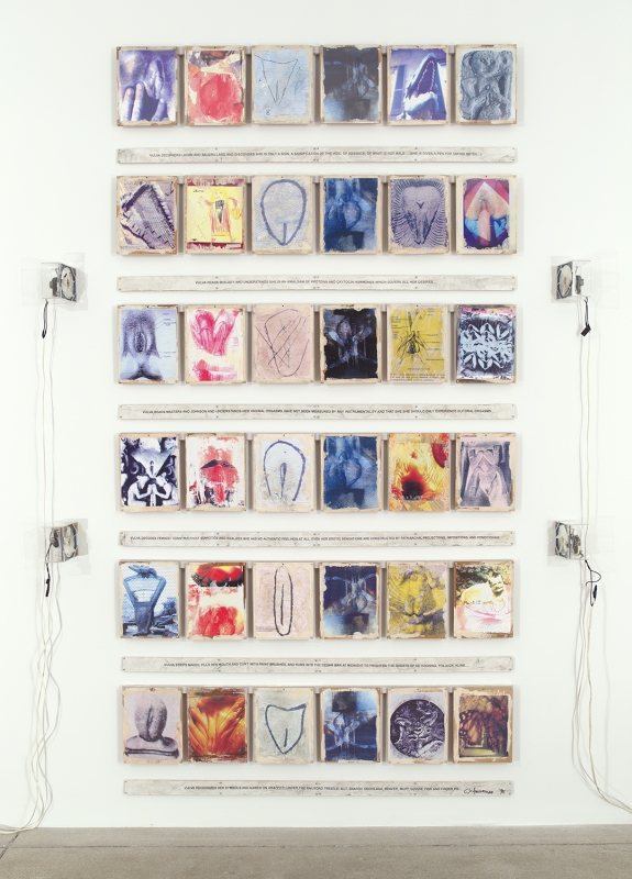 Carolee Schneemann
Vulva&#39;s Morphia, 1995
signed and dated on front
mounted 36 panel photo grid with hand painting, text inserts on wood, and fans
243.84 x 152.4 cm
96 x 60 in.
36 panels: overall 96 x 60 x 4 inches